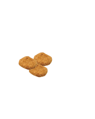 NUGGS.png